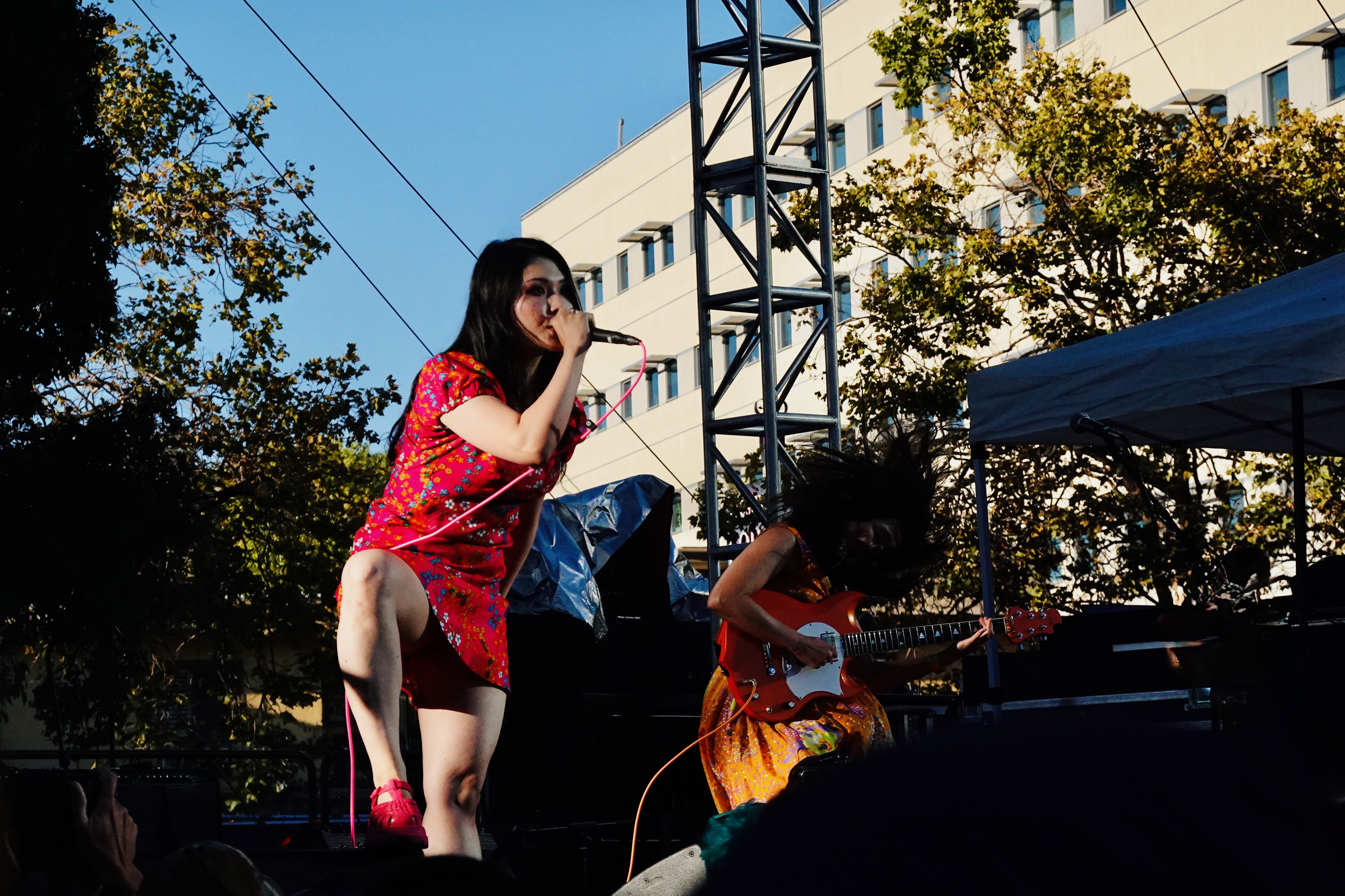 otoboke beaver